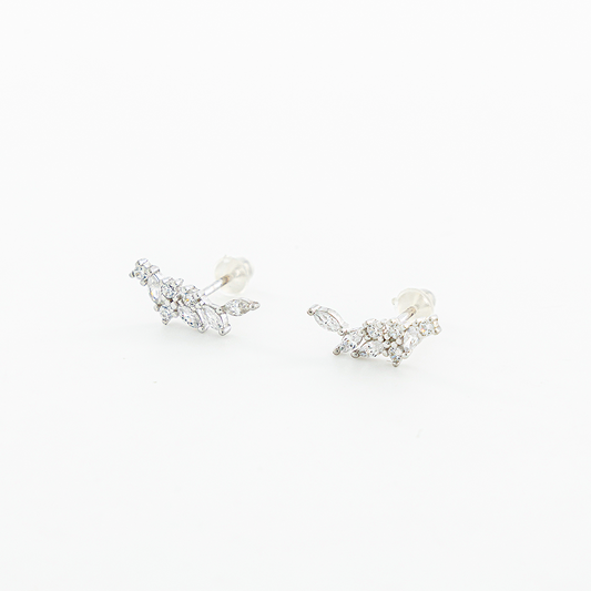 Aretes broqueles Ivy Plata